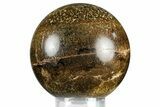 Polished Fossil Stromatolite (Chlorellopsis?) Sphere - Wyoming #369068-1